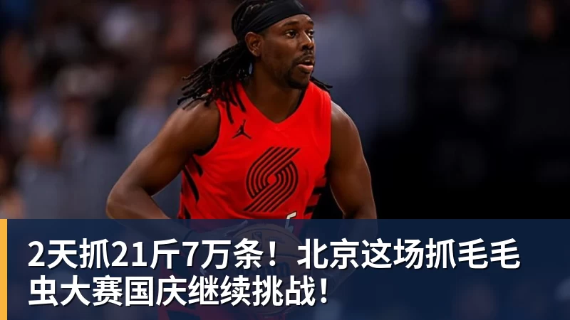 2天抓21斤7万条！北京这场抓毛毛虫大赛国庆继续挑战！